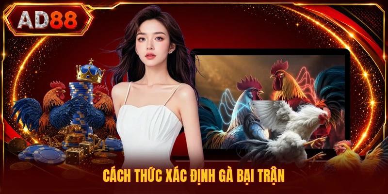 Luật Lệ Đấu Kê - Khám Phá Quy Định Chuẩn Cho Người Chơi Cách thức xác định gà bại trận
