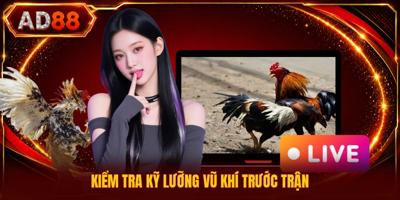 Luật Lệ Đấu Kê - Khám Phá Quy Định Chuẩn Cho Người Chơi Kiểm tra kỹ lưỡng vũ khí trước trận