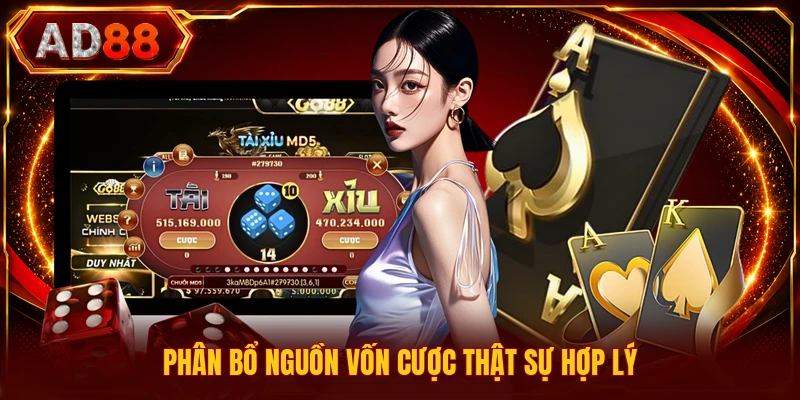 Chiến Thuật Bắt Tài Xỉu - Cẩm Nang Soi Cầu Hoàn Hảo Phân bổ nguồn vốn cược thật sự hợp lý